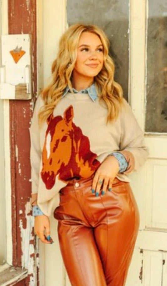 Sonora Sorrel Sweater